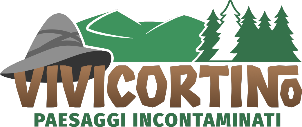 Logo di ViviCortino