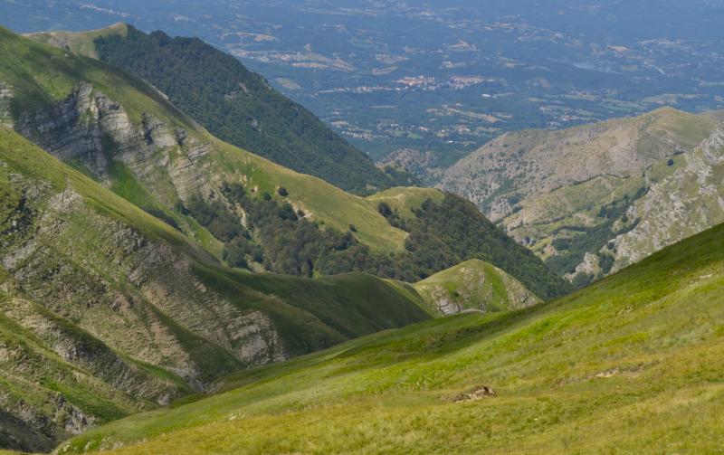 foto The plateaus of transhumance