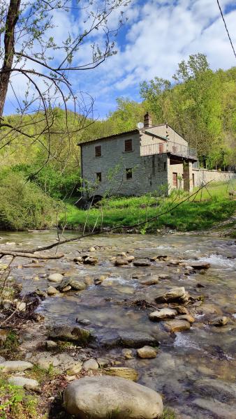 foto Alla scoperta dei Mulini di Cortino