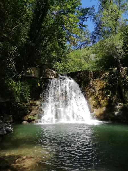 foto Boschi e Cascate