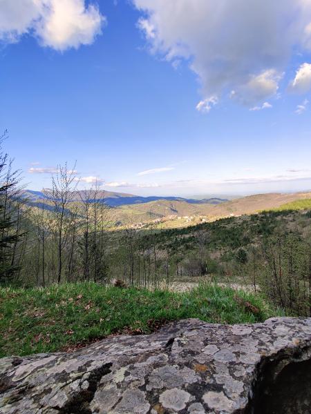 foto Località Fonte Spugna (Abetina di Cortino)